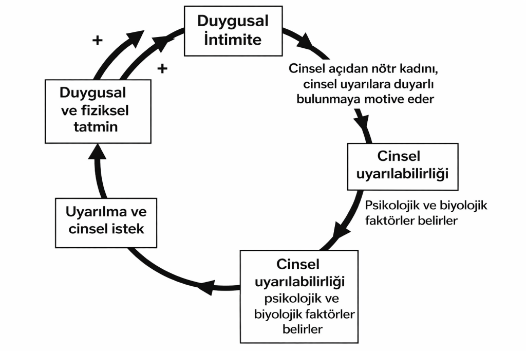 Cinsel İlişkide Kadın Nasıl Davranmalı?
