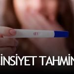 İslam’da Cinsiyet Belirleme Takvimi Var mı? Hicri Takvim ve Bilimsel Gerçekler