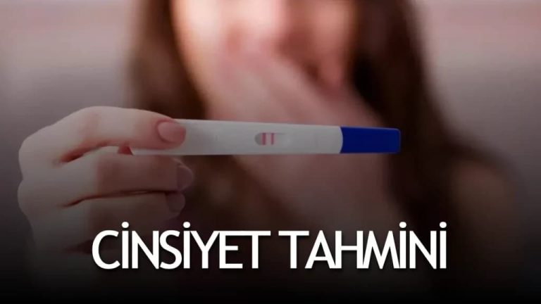 İslam’da Cinsiyet Belirleme Takvimi Var mı? Hicri Takvim ve Bilimsel Gerçekler