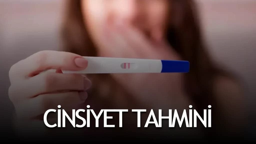 İslam’da Cinsiyet Belirleme Takvimi Var mı? Hicri Takvim ve Bilimsel Gerçekler